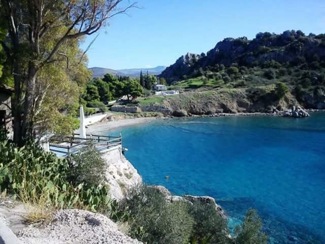 Διαμέρισμα Μια Ανάσα Από Την Θάλασσα!! Daire Tolón Dış mekan fotoğraf